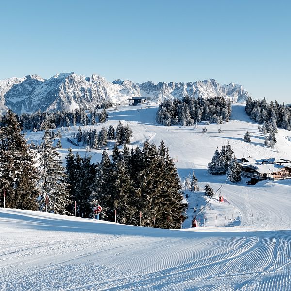 Skihotel am Wilden Kaiser in Scheffau | Ihr Skiurlaub in Tirol